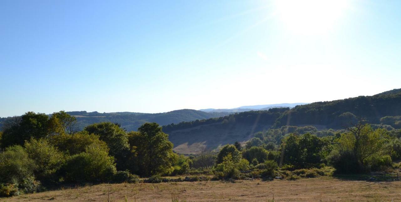 Les Cabanes Des Fontaines Saint-Sernin-du-Bois Εξωτερικό φωτογραφία